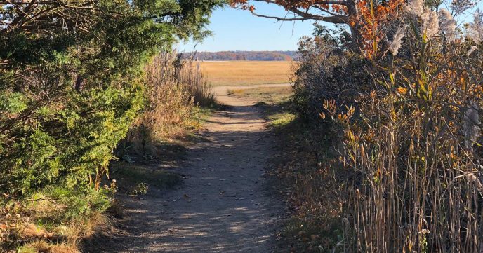 Pathway in Driftway Park in Scituate, Massachusetts