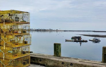 Lobster traps on the dock in Scituate Harbor
