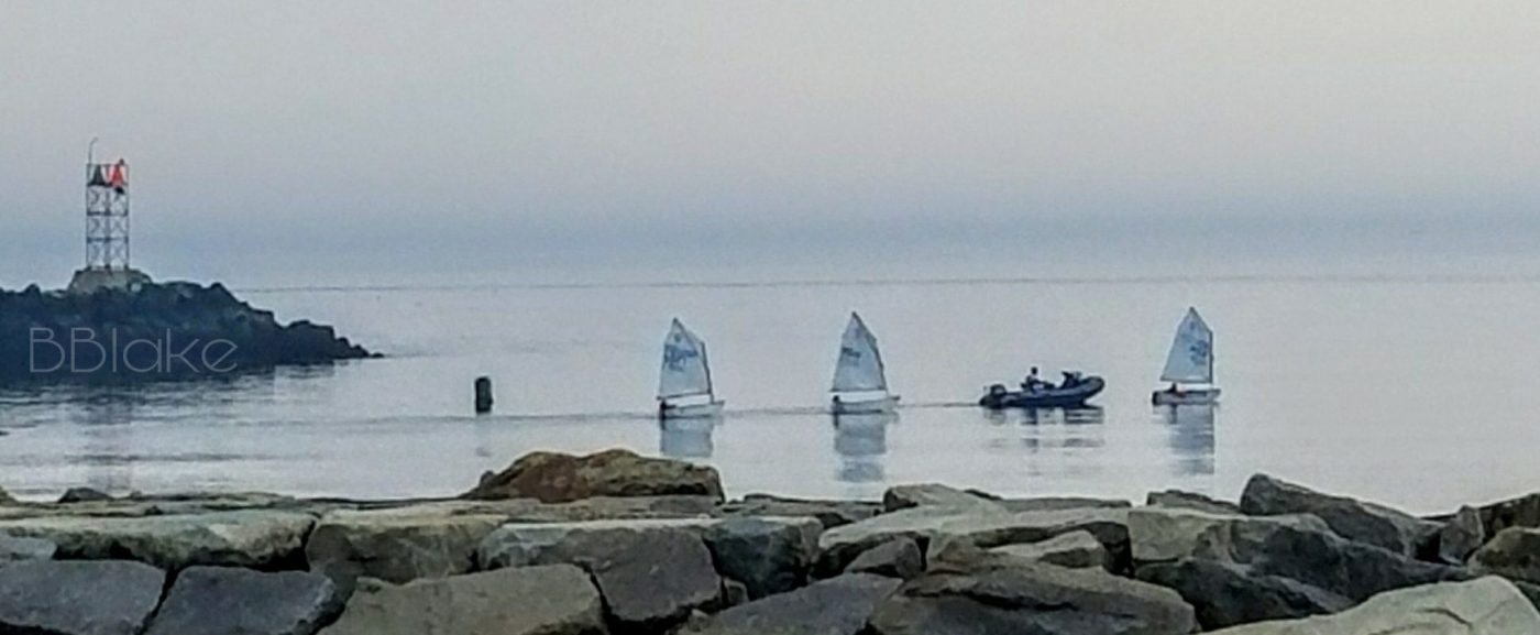 harbor sailing