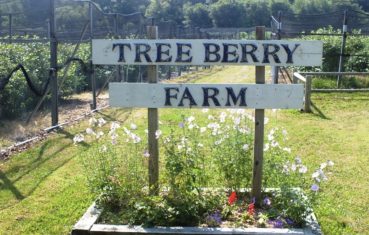 Tree Berry Farm sign