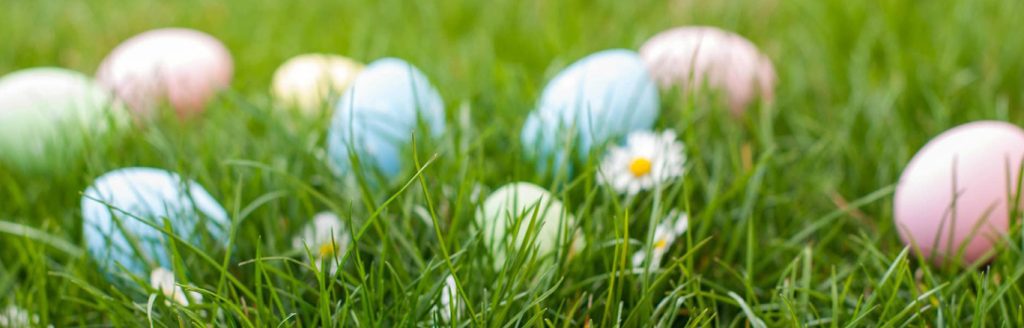 Easter eggs on the grass